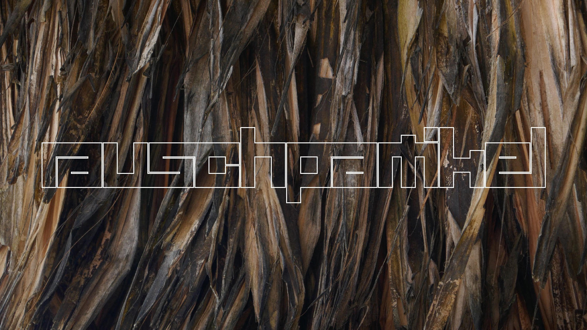 2022-10-29 13 Uhr 27 Playa Kalki (Foto, Video)